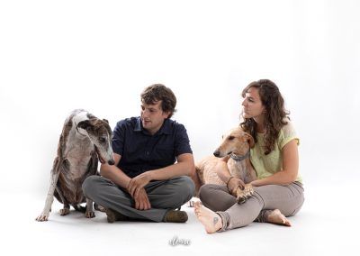 fotografia de galgos en estudio