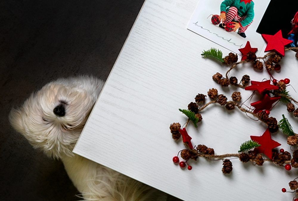 Postales con fotos de Navidad