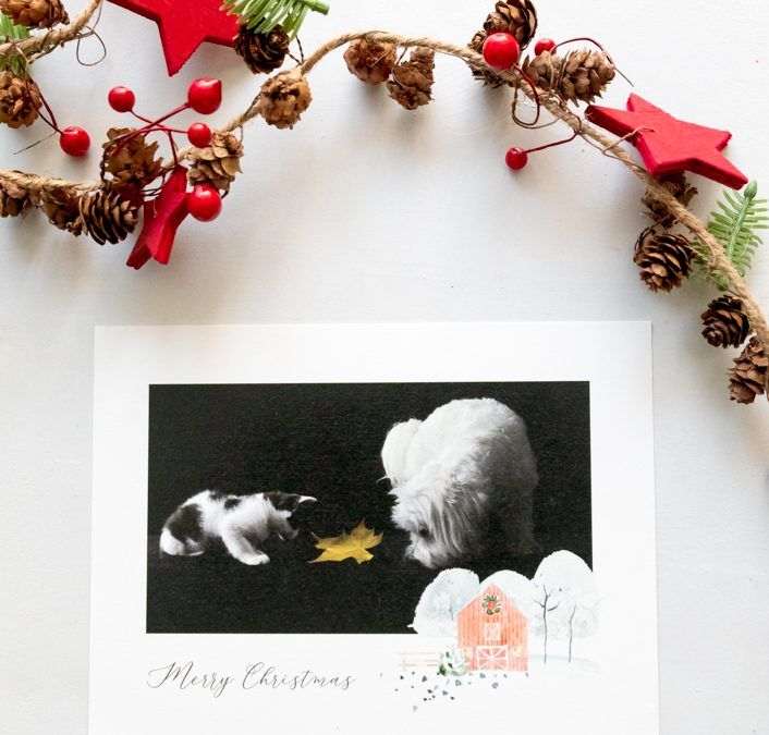 Tarjeta de Navidad Premium