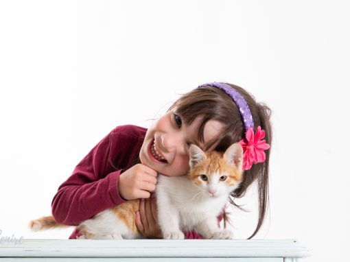 Gatitos Gatitos