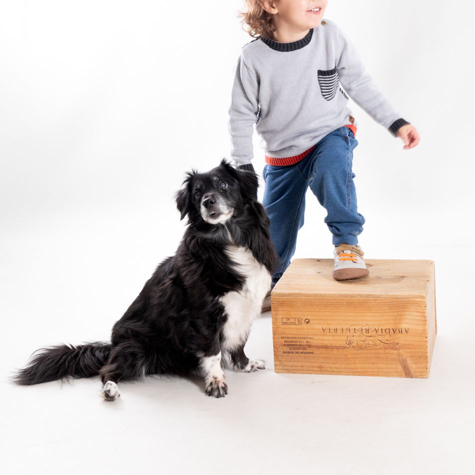 tiempo juntos fotografia de famila en estudio por Elena Rubio fotógrafa de niño con perro en Mollet del Vallès Barcelona.