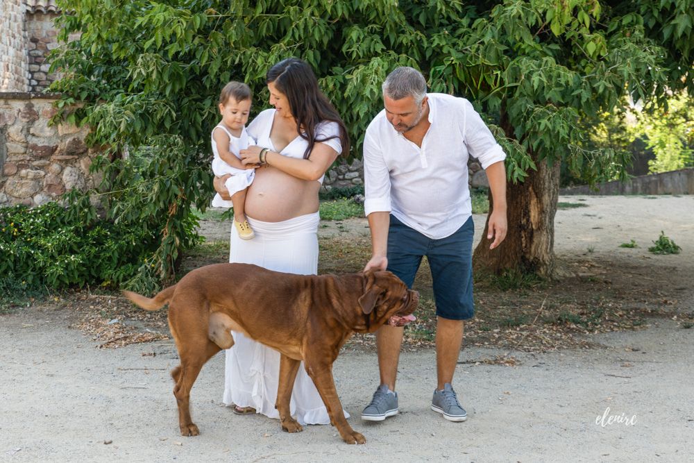 Fotografía de embarazo y maternidad en Barcelona con perro Elena Rubio elenirc