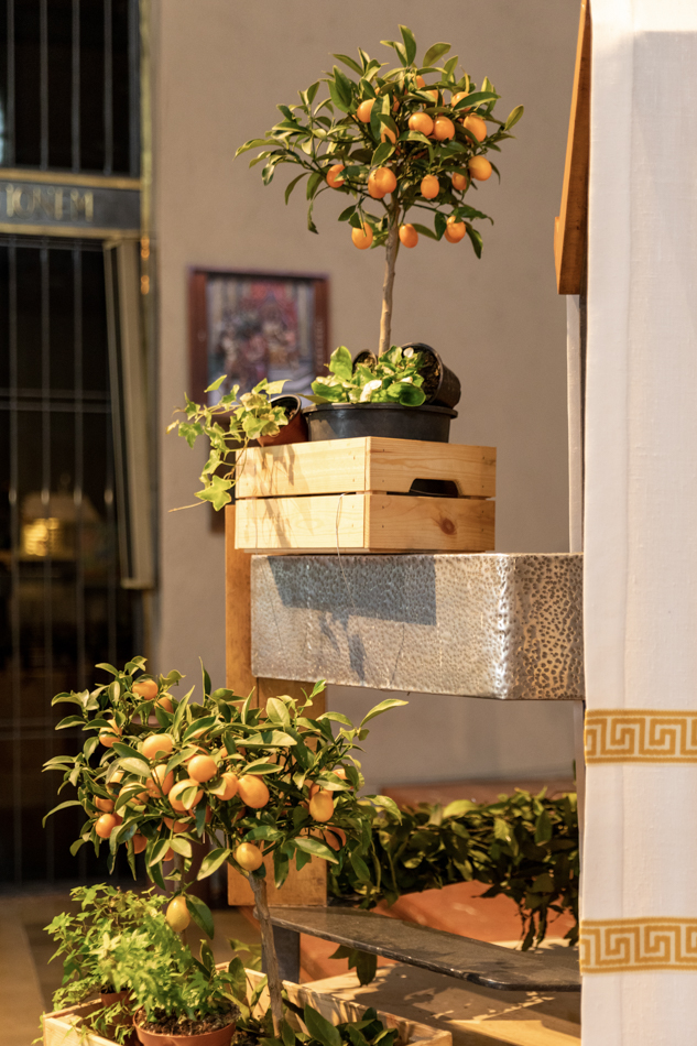 Atmósferas que envuelven vuestra historia Detalle de la decoración con plantas y naranjos en la Parroquia de Sant Esteve de Granollers durante un bautizo, por Elenirc Fotografia.
