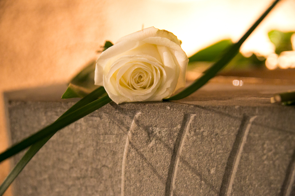 Detalles cargados de simbolismo Detalle de una rosa blanca sobre la pila bautismal de piedra en la iglesia de Samalús, por Elenirc Fotografia.